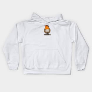 Robin Kids Hoodie